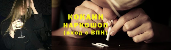 бошки Алексин