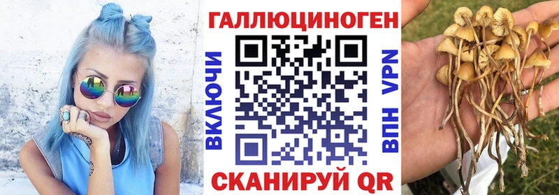 гидра ТОР  Карпинск  Галлюциногенные грибы ЛСД  продажа наркотиков 
